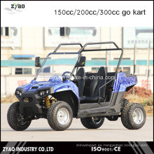 Go Kart Differential 150cc en vehículo desierto